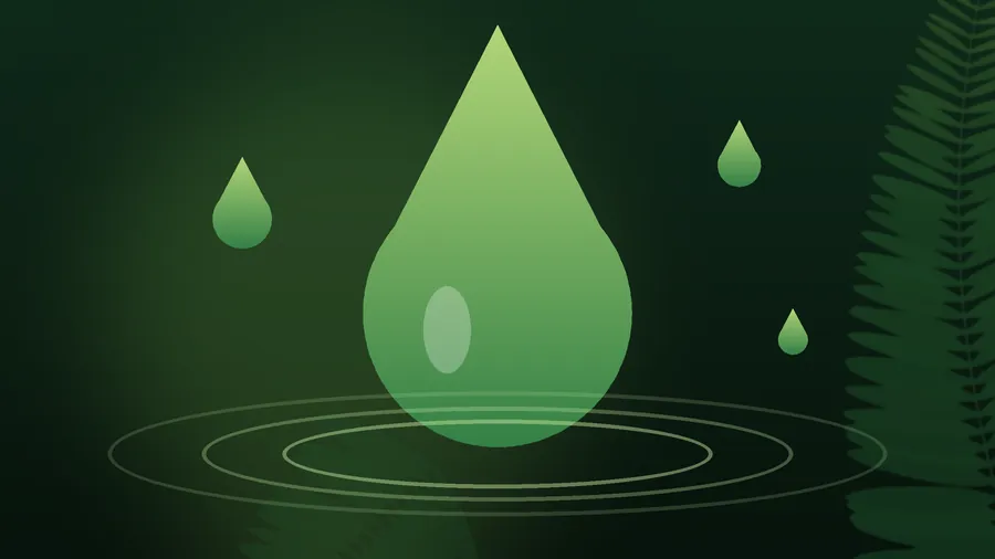 Hidratación: ¿Cuánta Agua Necesitas Realmente y Cuándo Importan los Electrolitos?